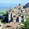 pic pic